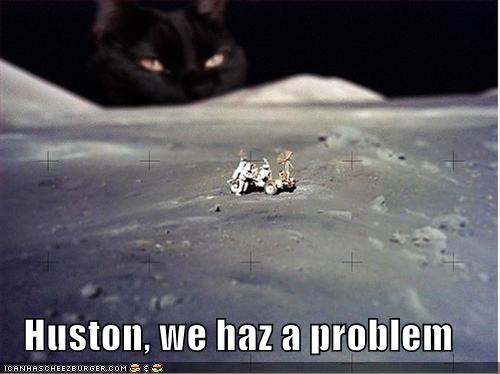funny-pictures-cat-moon