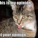 Friday Ramblings