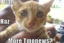 Apologies For The TmoNews Forum Downtime
