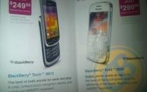 whitebold9900