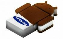 wpid-samsung-galaxy-s-galaxy-tab-7-ice-cream-sandwich1