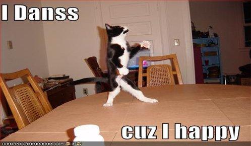 funny-pictures-dancing-cat