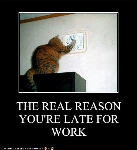 funny-pictures-this-is-the-real-reason-youre-late-for-work