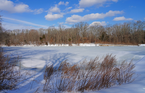 t-mobile-closely-monitoring-networks-affected-by-winter-storm